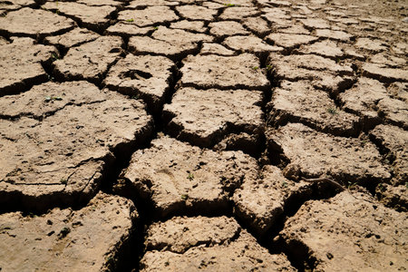 Land with dry and cracked ground. Desert, global warming background