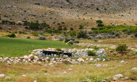 Many hives on a hill in Turkey