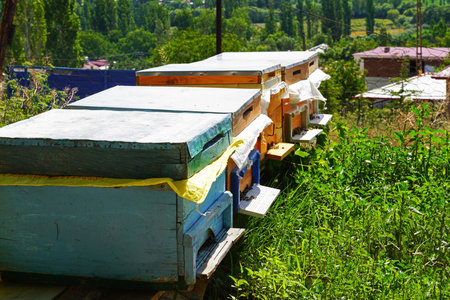 Hives in the apiary of a rural house, Kahramanmaras, Turkey