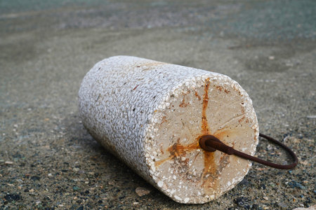 Stone roller to compress the flat roof of earth-sheltered home not to rain water leak in under roof