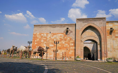 Afsin, Kahramanmaras, Turkey-June 19 2018: Concept camel train arrived the caravansary near the museum for companions of cave or seven sleepersのeditorial素材