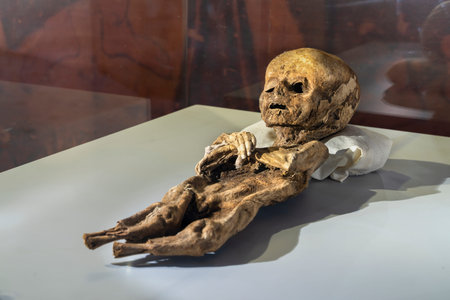 Aksaray / Turkey - July 07 2019: Ancient mummy of child in Museum of Aksarayのeditorial素材