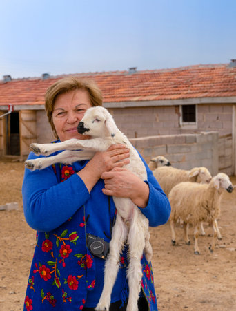 Konya, Turkey-April 14 2019: An old, well-smiling farmer, holds in her hands her beloved white lamb with barn and sheep in background. Concept of ecology, livestock, farming, bio, nutrition.のeditorial素材