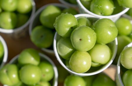 Top view of green plums or greengage in paper cup on sale in the street in Turkey, popular spring fruits with a very sharp sour taste in Iranの写真素材