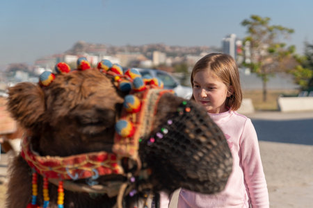 Ankara, Turkey/October 28 2018:  Selective focus of girl looks at camel with ornaments and muzzle on his head.のeditorial素材