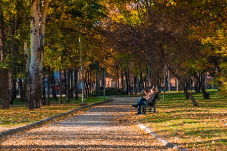 Ankara/Turkey-November 24 2018: Kurtulus Parki in Autumn and a couple sitting on a bench near the pathのeditorial素材
