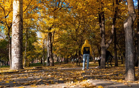 Ankara/Turkey-November 24 2018: Kurtulus Parki in Autumn and back view of a boy who has yellow and black  jacketのeditorial素材