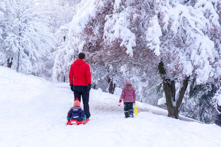 Back view of father sledding his little baby and another daughter walk with them, Segmenler park, Ankaraのeditorial素材
