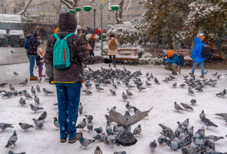 Ankara/Turkey-December 06 2018: People feeding pigeons and taking photo of pigeons in Kugulu Parkのeditorial素材