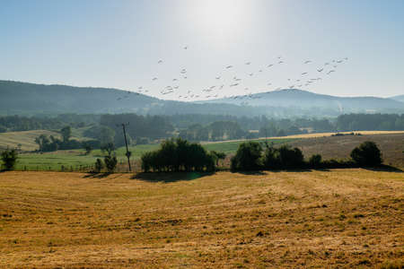 Panoramic view of yellow and green fields and hills in background.の写真素材