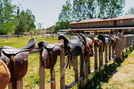 Many leather saddles on wooden fence and ready to put on the horsebackの写真素材