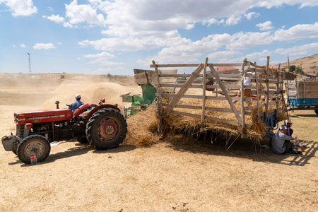 Ankara / Turkey-August 09 2020: Traditional haymaking with tractors and thresher.