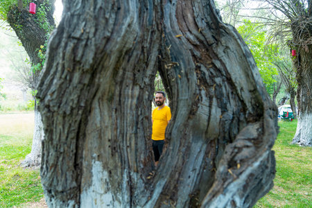 Ankara / Turkey-August 09 2020: Take a photo from the hollow of the treeの写真素材