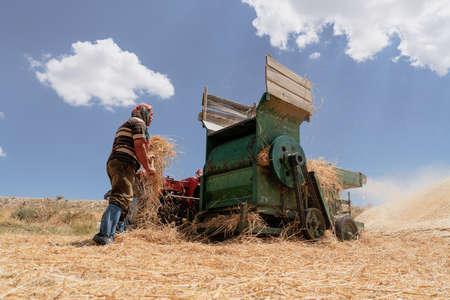 Ankara / Turkey-August 09 2020: Traditional haymaking with tractors and thresher.の写真素材