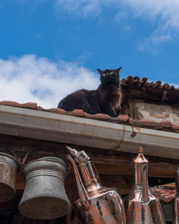 Copper seller hangs copper pots for sale and the cat looks around on the roof of storeの写真素材