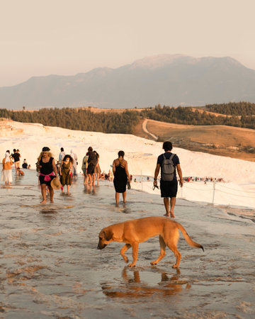 Pamukkale, Denizli, Turkey - August 26 2021: Tourists and dog walking barefoot on travertine at sunset.のeditorial素材