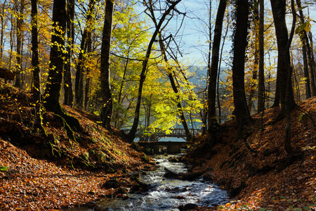 Fall season in Sevenlakes national park (Yedigoller national park), Bolu, Turkey