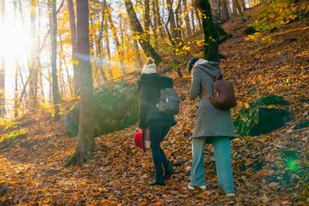 Sun rays coming through the trees and back view of two women walk in the forest in Fall season in Sevenlakes national park (Yedigoller national park), Bolu, Turkey.の写真素材