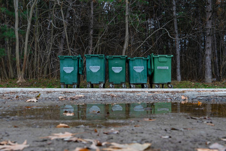 Green garbage containers in the forest in a row.の写真素材