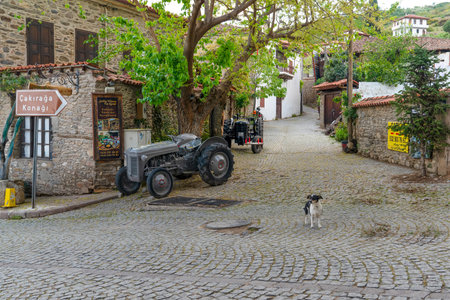 Birgi, Odemis, Izmir, Turkey - April 27 2023: Daily life in Birgi which is a small town located in the OdemiÅ district of Izmir province in Turkeyのeditorial素材