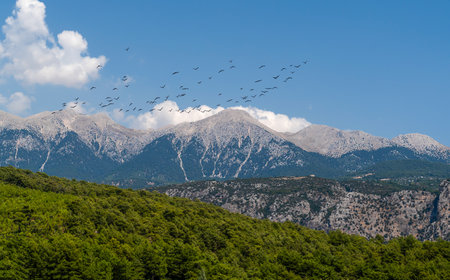The White Mountains with birds in a blue sky background. Antalya, Turkeyの写真素材