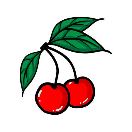 Cherry on white background. Vector illustration.のイラスト素材