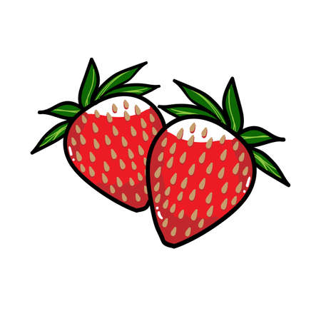 Red strawberry on white background. Vector illustration.のイラスト素材