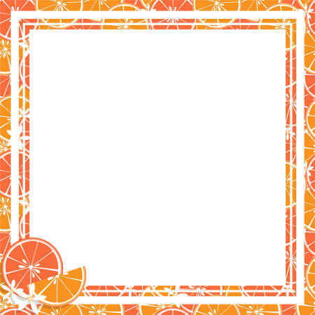 Vector illustration of square white frame and rectangle label on citrus fruit background. Tropical fresh and juicy orange citrus fruit closely spaced background and flower in flat design.のイラスト素材