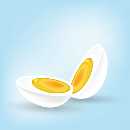 Vector illustration of boiled egg. Cooking Ingredients. Healthy food.のイラスト素材