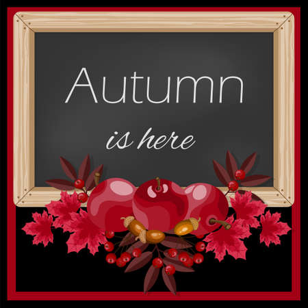Autumn background with  Autumn is here text on blackboard with autumn leaves, acorns, berries and apples frame.のイラスト素材
