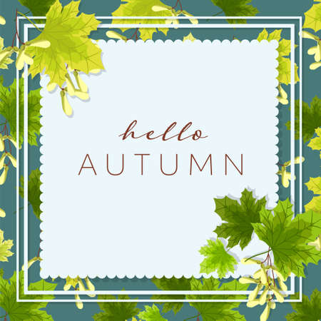 Autumn background with Hello Autumn text with autumn leaves and acorns frame.のイラスト素材