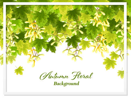 Autumn floral background with autumn leaves and seeds.のイラスト素材