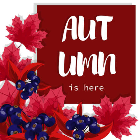 Autumn background with Autumn is here text on autumn leaves and berries frame.のイラスト素材