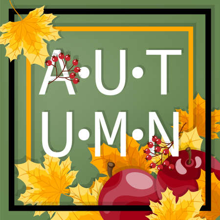 Autumn background with Autumn is here text on autumn leaves frame.のイラスト素材