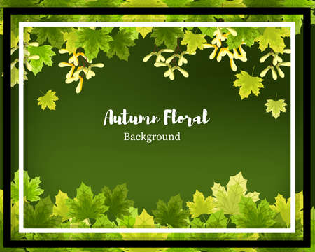 Autumn floral background with autumn leaves and seeds.のイラスト素材
