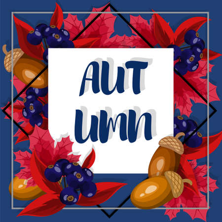 Autumn floral background with Autumn text on autumn leaves and berries frame.のイラスト素材