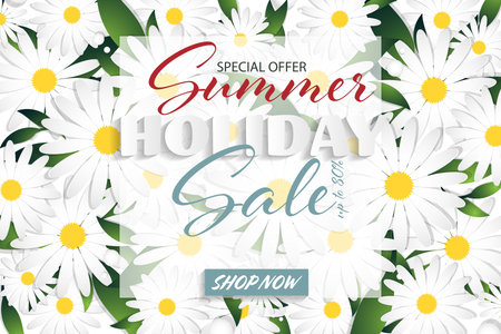 Summer Sale banner template with white daisy flower and leaves. Vector illustration.のイラスト素材