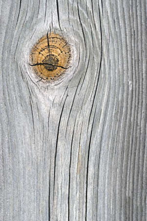 Close-up of an old silver oak plankの写真素材