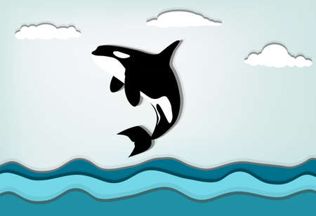 Orcinus orca Killer whale jumping highのイラスト素材