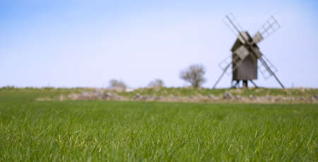 Close up of grass, with windmill out of focus in backgroundの写真素材