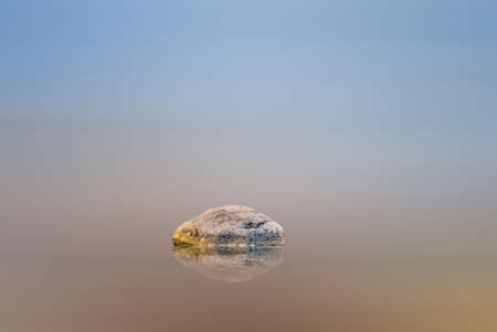Abstract image with motion blurred sea, sky and stoneの写真素材