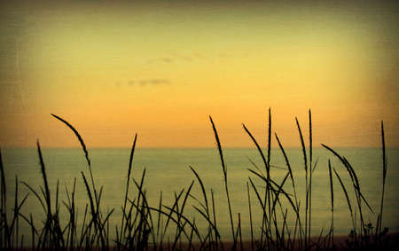 View of the ocean, aged and worn vintage style photoの写真素材