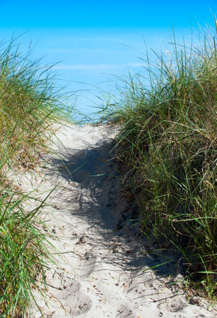 Up the sand dunes to the beach