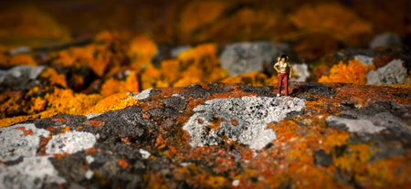 Female hiker and mountain with colorful moss, miniature figureの写真素材