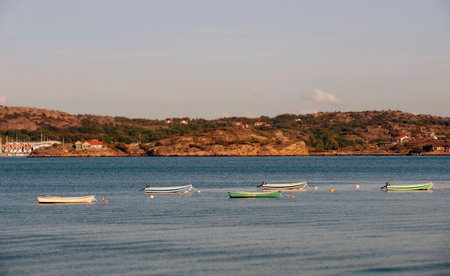 Many small boats mooredの写真素材
