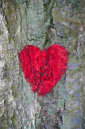 Red heart painted on treeの写真素材