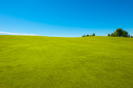 Green field and blue sky in summer
