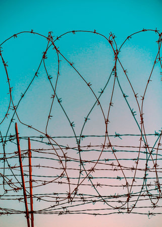Barbed wire against summer evening sky