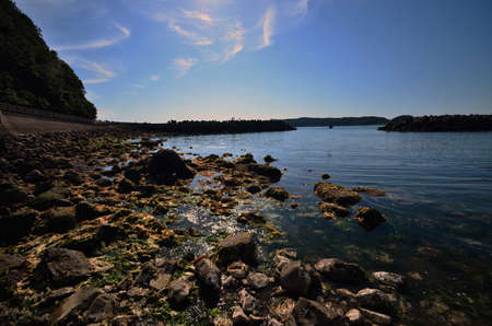 The Japanese sea and seaweedの写真素材