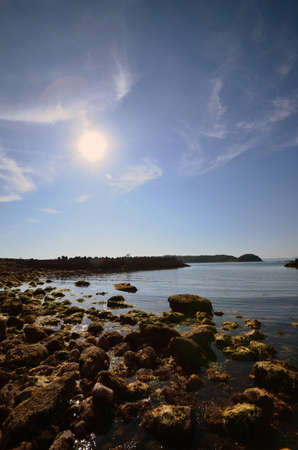 The Japanese sea and seaweedの写真素材